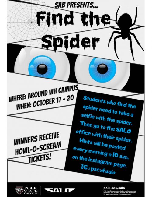 find-the-spider-flyer