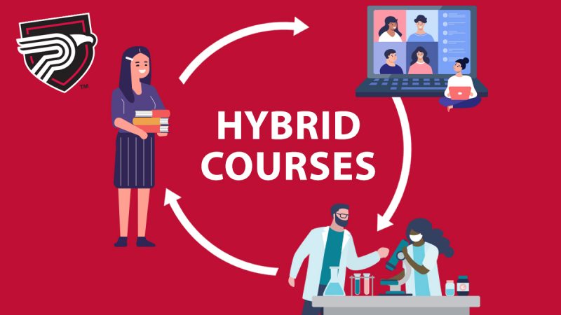 hybrid phd education programs