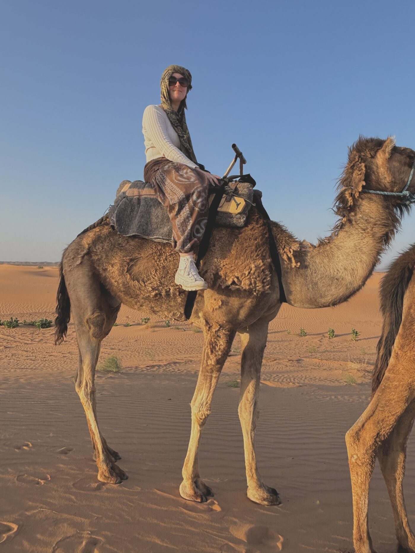 Polk State puts study abroad within reach for students | Polk State College