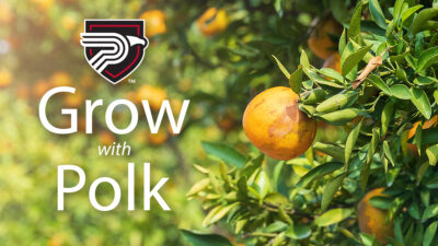 Grow with Polk