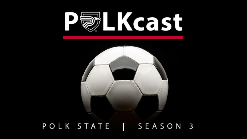 POLKcast art