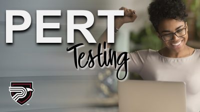 PERT Test image woman and computer
