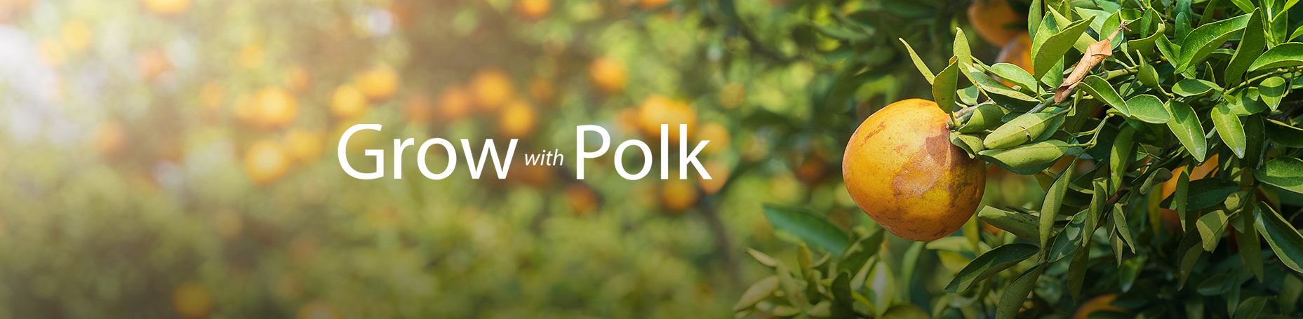 Grow with Polk