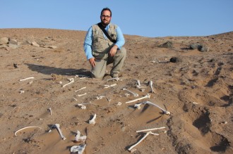 Patrick Phillips, a Polk State-trained radiographer, recently went to Peru to take X-rays of mummies as old as 4,000 years. Here, he is shown with human bones scattered in the desert of southern Peru.